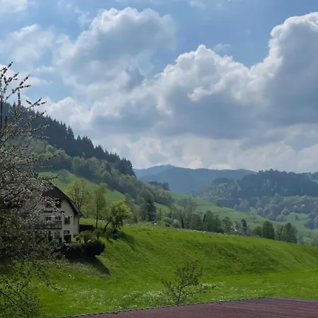 בית הארחה Muellers Klostermuehle Münstertal