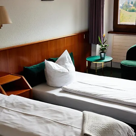 בית הארחה Muellers Klostermuehle Münstertal